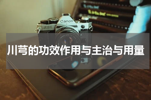 川芎的功效作用与主治与用量