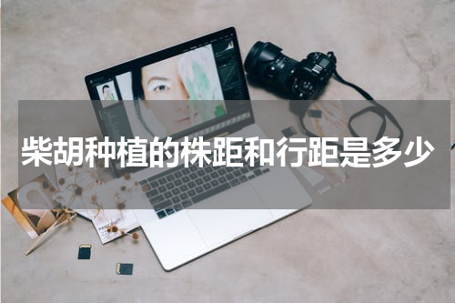 柴胡种植的株距和行距是多少
