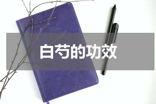 白芍的功效