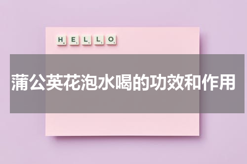 蒲公英花泡水喝的功效和作用