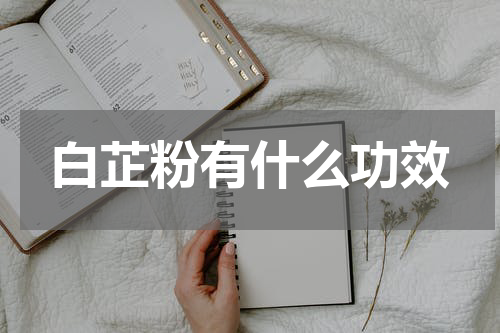 白芷粉有什么功效