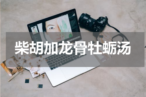 柴胡加龙骨牡蛎汤