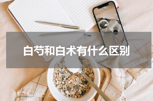 白芍和白术有什么区别