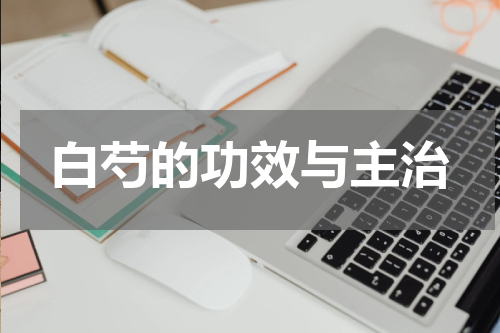 白芍的功效与主治