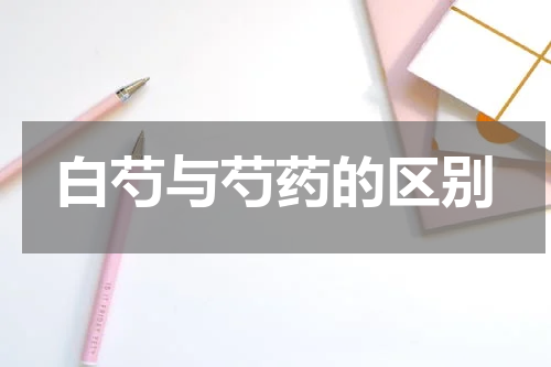 白芍与芍药的区别