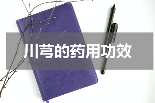 川芎的药用功效