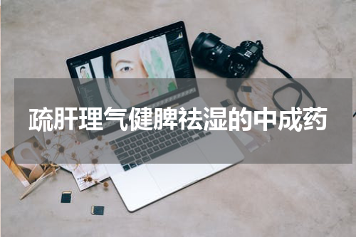 疏肝理气健脾祛湿的中成药