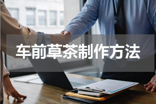 车前草茶制作方法