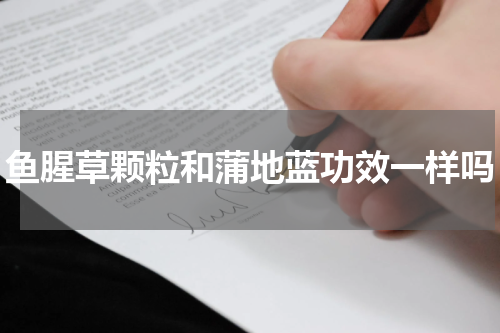 鱼腥草颗粒和蒲地蓝功效一样吗
