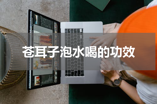 苍耳子泡水喝的功效