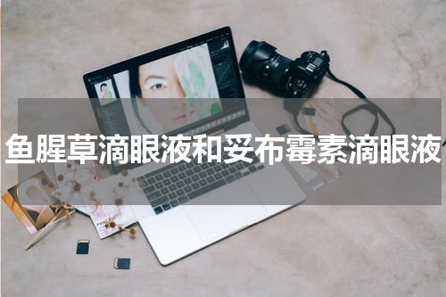 鱼腥草滴眼液和妥布霉素滴眼液