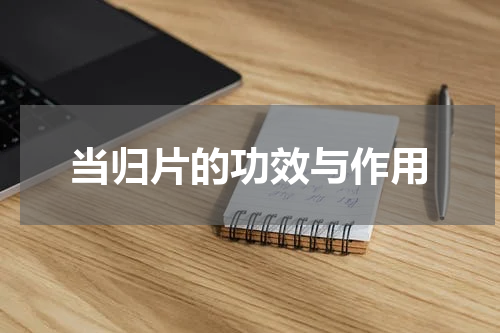 当归片的功效与作用