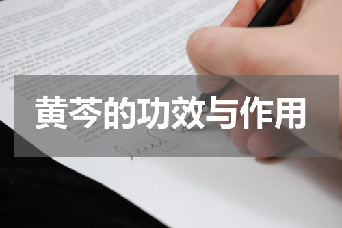 黄芩的功效与作用