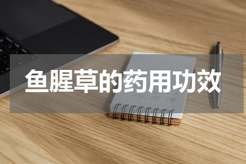 鱼腥草的药用功效