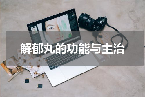 解郁丸的功能与主治