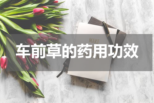 车前草的药用功效