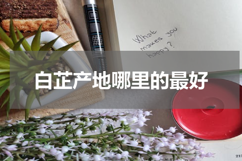 白芷产地哪里的最好