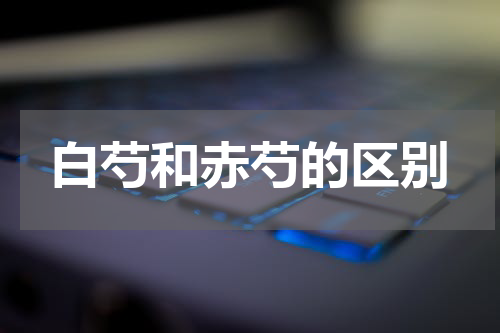 白芍和赤芍的区别