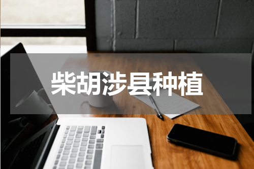 柴胡涉县种植