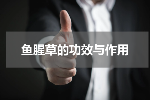 鱼腥草的功效与作用