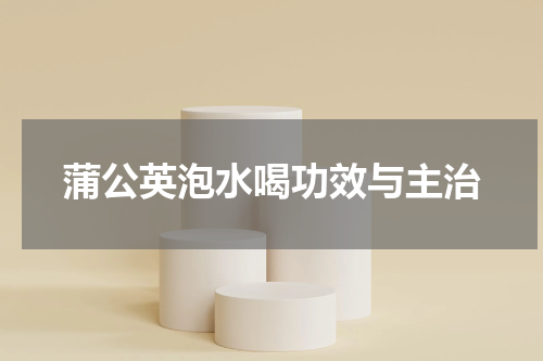 蒲公英泡水喝功效与主治