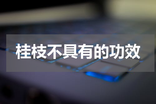 桂枝不具有的功效