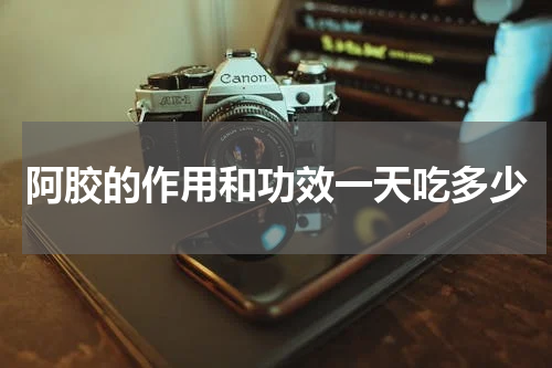 阿胶的作用和功效一天吃多少