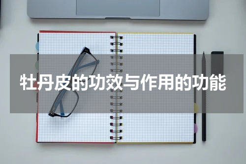 牡丹皮的功效与作用的功能