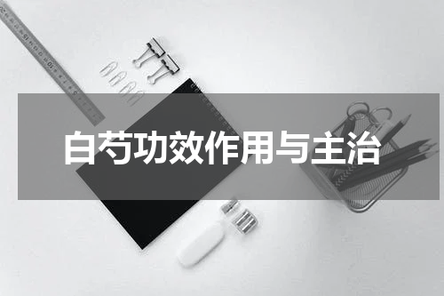 白芍功效作用与主治