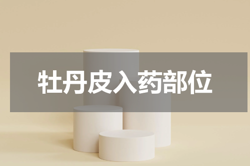 牡丹皮入药部位