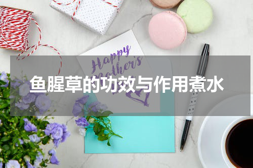 鱼腥草的功效与作用煮水