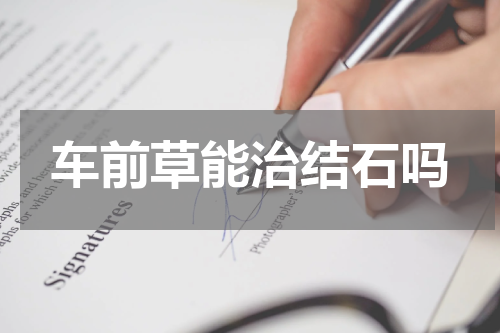 车前草能治结石吗