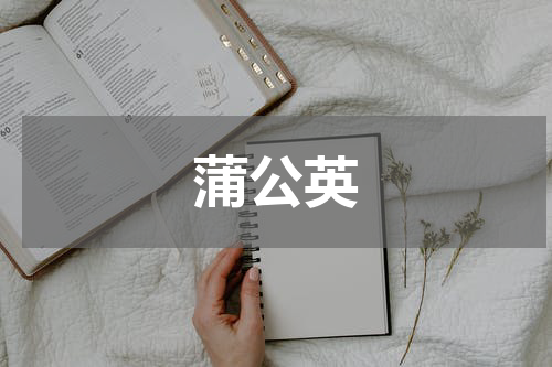 蒲公英