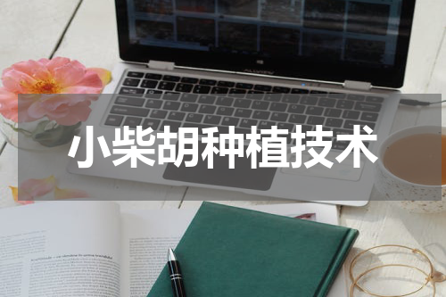 小柴胡种植技术