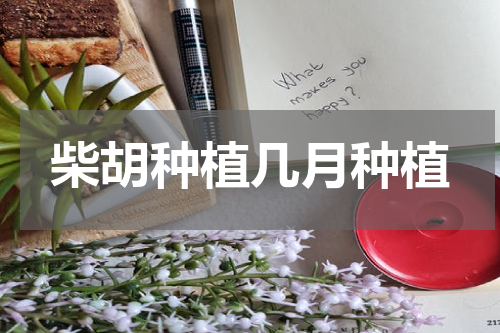 柴胡种植几月种植