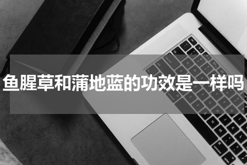 鱼腥草和蒲地蓝的功效是一样吗