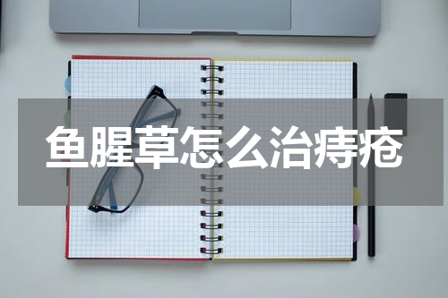 鱼腥草怎么治痔疮