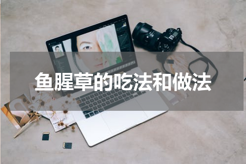 鱼腥草的吃法和做法