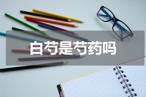 白芍是芍药吗