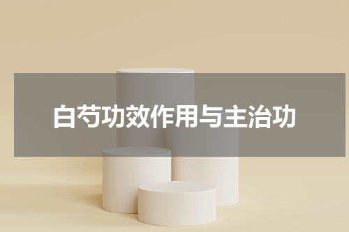 白芍功效作用与主治功
