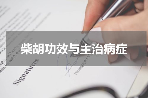 柴胡功效与主治病症