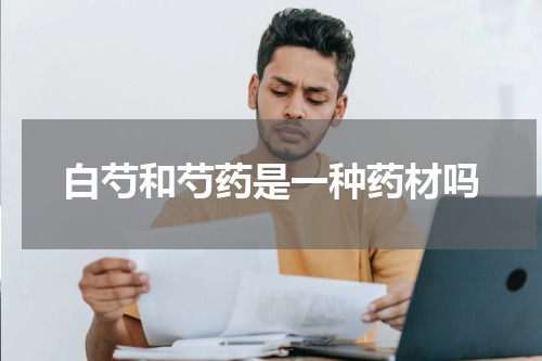 白芍和芍药是一种药材吗