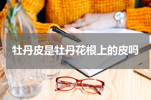 牡丹皮是牡丹花根上的皮吗