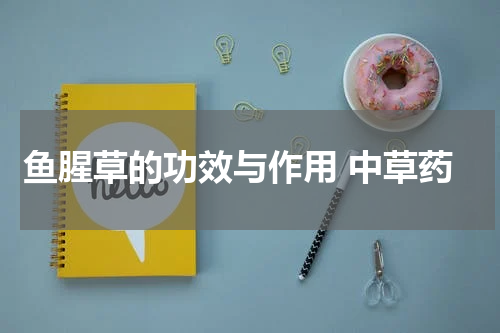 鱼腥草的功效与作用 中草药