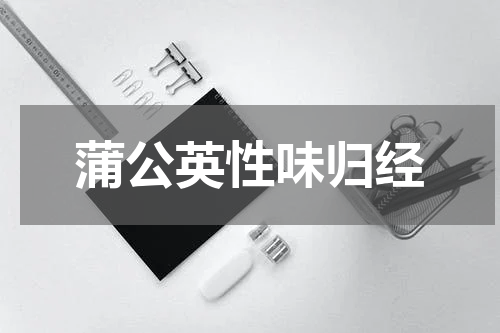 蒲公英性味归经