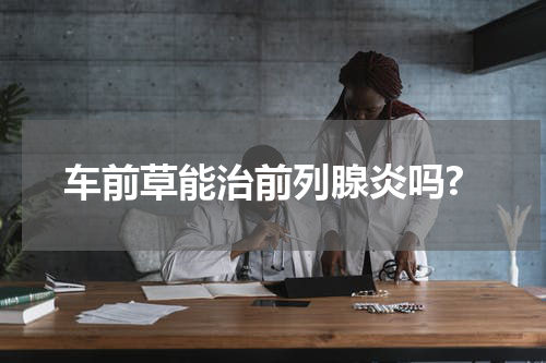 车前草能治前列腺炎吗?