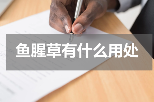 鱼腥草有什么用处