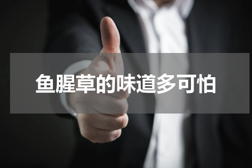 鱼腥草的味道多可怕