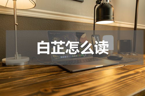 白芷怎么读