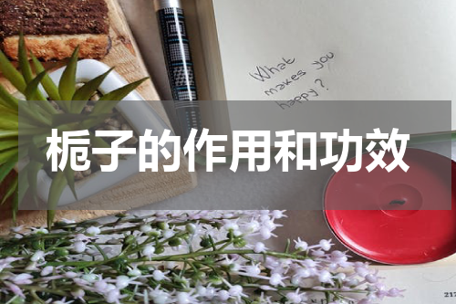 栀子的作用和功效